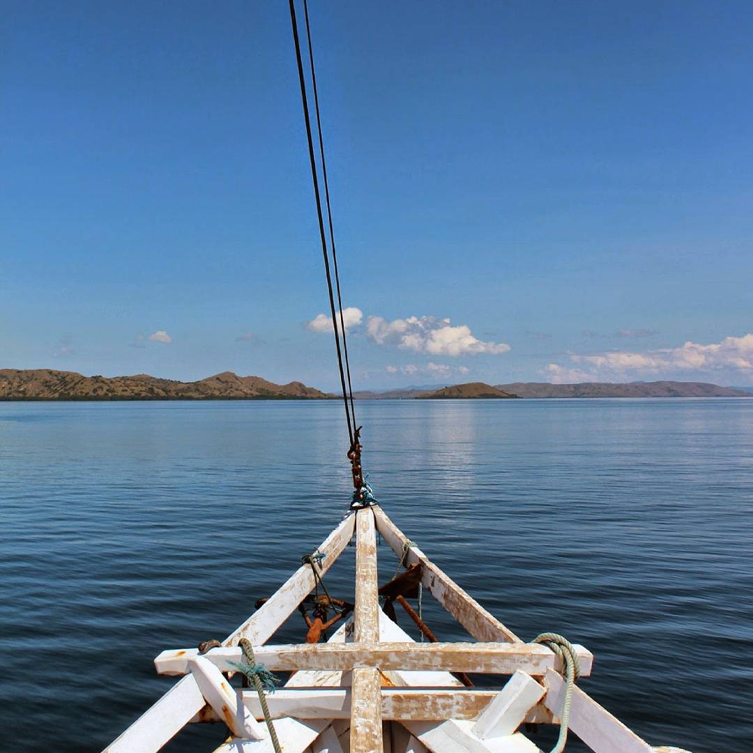 On course to see Komodo Dragons