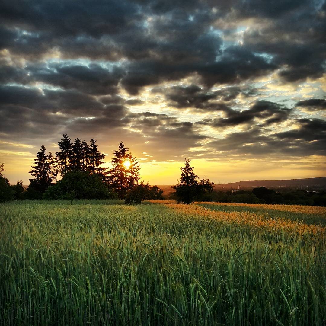 Sunset in our backyard