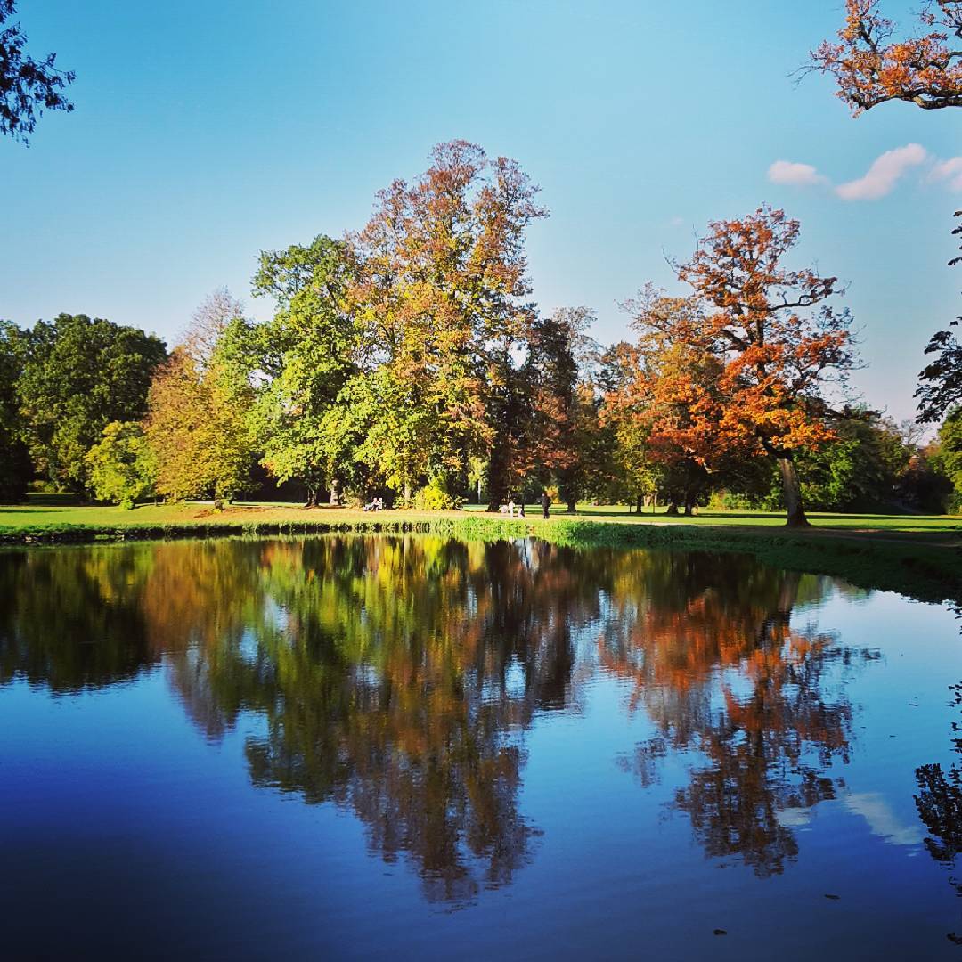 Was für ein schöner Herbsttag im Schönbusch